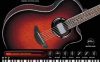 Producers Vault Bachata Guitar VSTi 2.0 v1.1